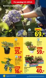 Lidl tilbudsavis uge 19 Side 26