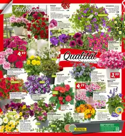 Bauhaus Flugblatt Seite 2