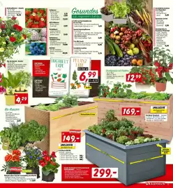 Bauhaus Flugblatt Seite 3