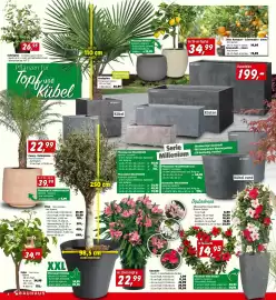 Bauhaus Flugblatt Seite 4