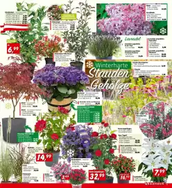 Bauhaus Flugblatt Seite 5