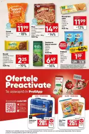 Catalog PROFI Pagină 11