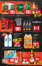 Catalog PROFI Pagină 3