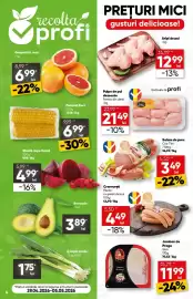 Catalog PROFI Pagină 4