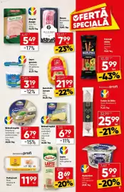 Catalog PROFI Pagină 5