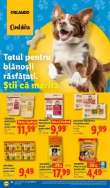 Catalog Lidl săptămâna 19 Pagină 22