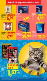 Catalog Lidl săptămâna 19 Pagină 23