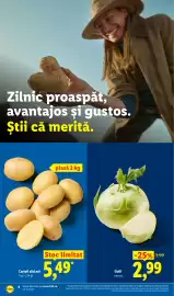 Catalog Lidl săptămâna 19 Pagină 4