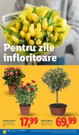 Catalog Lidl săptămâna 19 Pagină 56