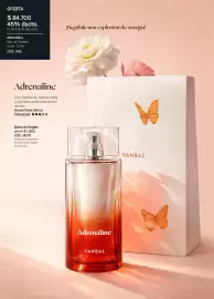 Catálogo Yanbal Página 22