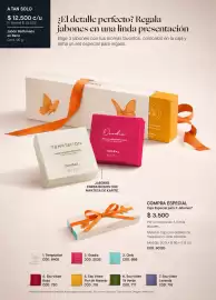 Catálogo Yanbal Página 24