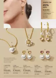 Catálogo Yanbal Página 43