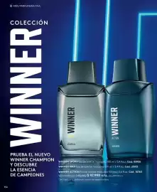 Catálogo Ésika Página 166