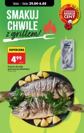 Biedronka gazetka tydzień 18 Strona 14