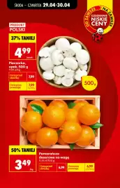 Biedronka gazetka tydzień 18 Strona 32