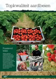 Sligro folder | Wijn Pagina 62