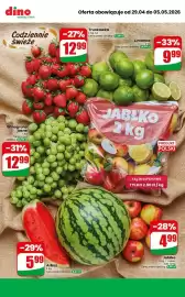 Dino gazetka tydzień 18 Strona 9
