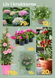 Netto tilbudsavis uge 18 Side 32