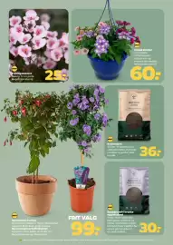 Netto tilbudsavis uge 18 Side 33