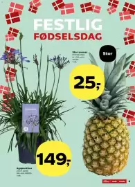 SuperBrugsen tilbudsavis uge 18 Side 9