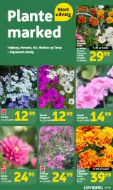 Løvbjerg tilbudsavis Side 26