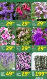 Løvbjerg tilbudsavis Side 27