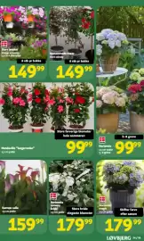 Løvbjerg tilbudsavis Side 29