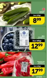 Løvbjerg tilbudsavis Side 8
