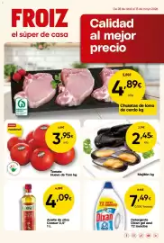 Folleto FROIZ Página 1