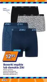 Action gazetka tydzień 18 Strona 13
