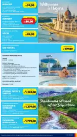 Hofer Reisen Flugblatt Seite 11