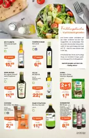 Prokopp Flugblatt Seite 3
