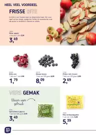 Van Hoeckel folder Pagina 2