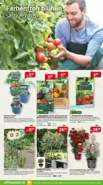 Raiffeisen Markt Prospekt Seite 3