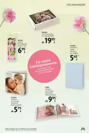 Dm Flugblatt Seite 13