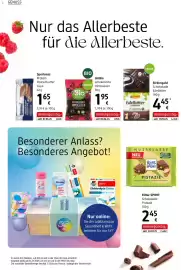 Dm Flugblatt Seite 14