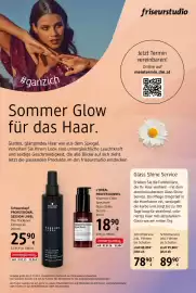 Dm Flugblatt Seite 16