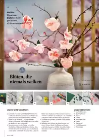 Pagro Diskont Flugblatt Seite 24
