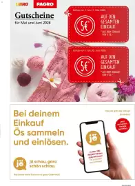 Pagro Diskont Flugblatt Seite 25