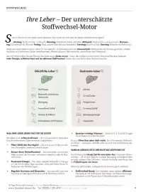 Bärbel Drexel Flugblatt Seite 12