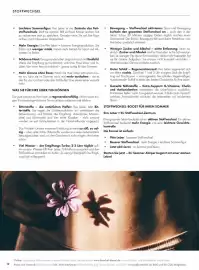 Bärbel Drexel Flugblatt Seite 13