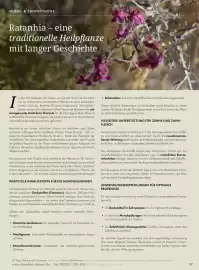 Bärbel Drexel Flugblatt Seite 28