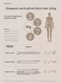 Bärbel Drexel Flugblatt Seite 37