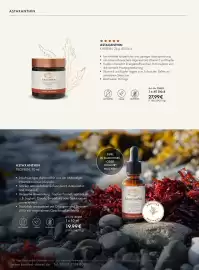 Bärbel Drexel Flugblatt Seite 8