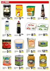 Folleto FROIZ Página 12