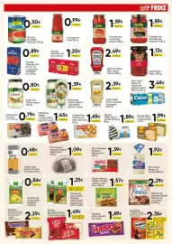 Folleto FROIZ Página 3