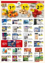 Folleto FROIZ Página 9