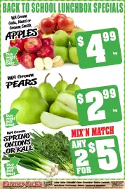 Farmer Jack's catalogue week 18 Page 13