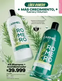Catálogo Carmel Página 169