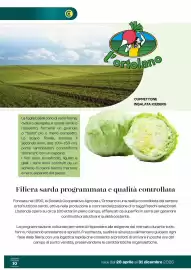 Volantino Centro Cash Pagina 10